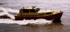 plover steaming