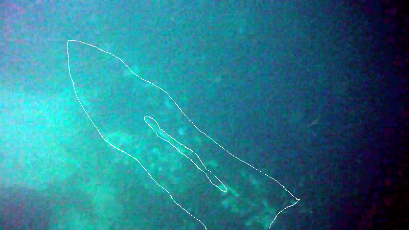 Kek wreck
              outline