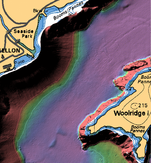 2006