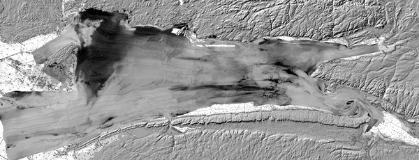 All Fundy Backscatter