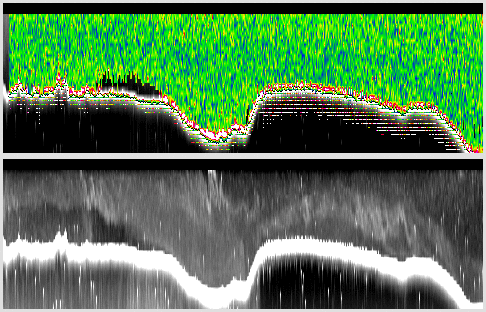 vertical section