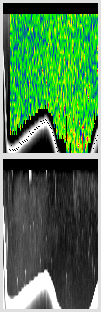 vertical section