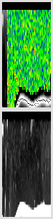 vertical section
