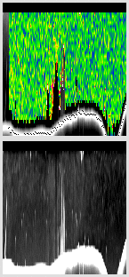 vertical section