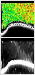 vertical section