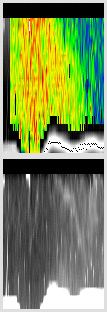 vertical section
