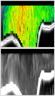 vertical section