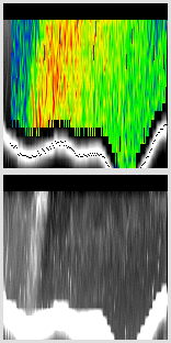 vertical section