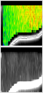 vertical section