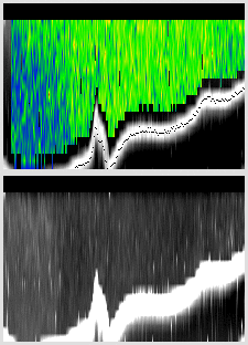 vertical section