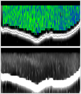 vertical section
