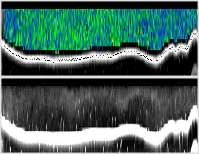vertical section