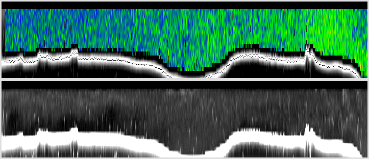 vertical section