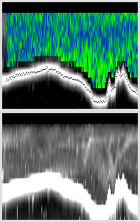 vertical section