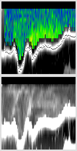 vertical section