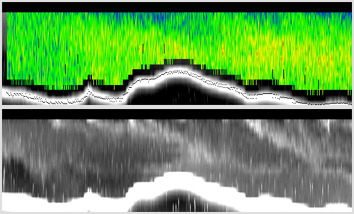 vertical section