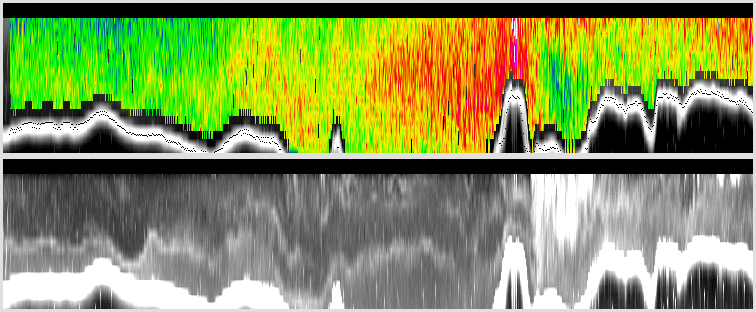 vertical section
