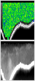 vertical section