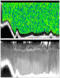 vertical section