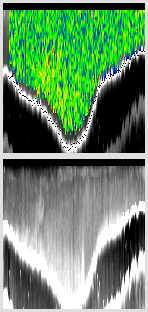vertical section