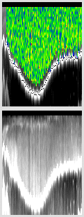 vertical section