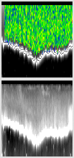 vertical section
