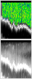 vertical section