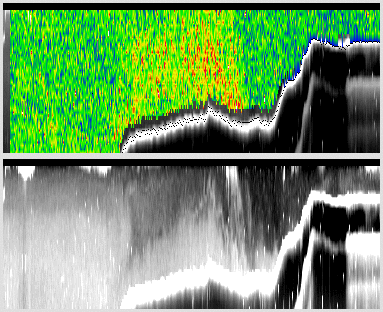 vertical section