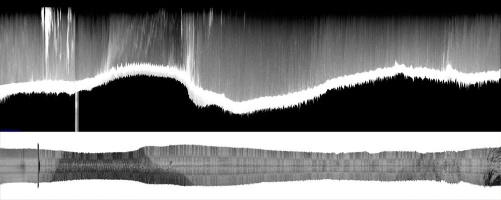 vertical
                  section
