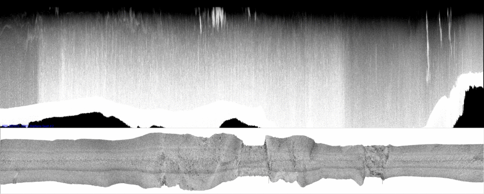 vertical
                  section