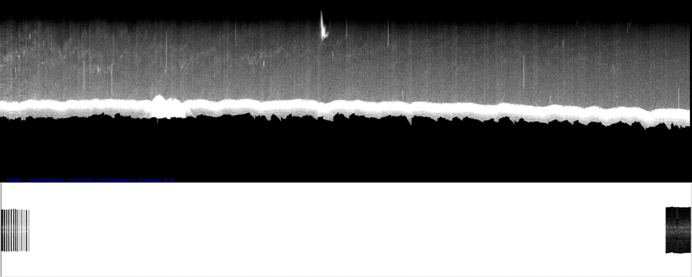 vertical
                  section