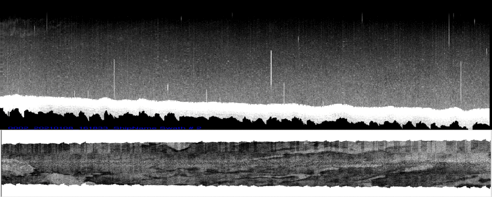vertical
                  section