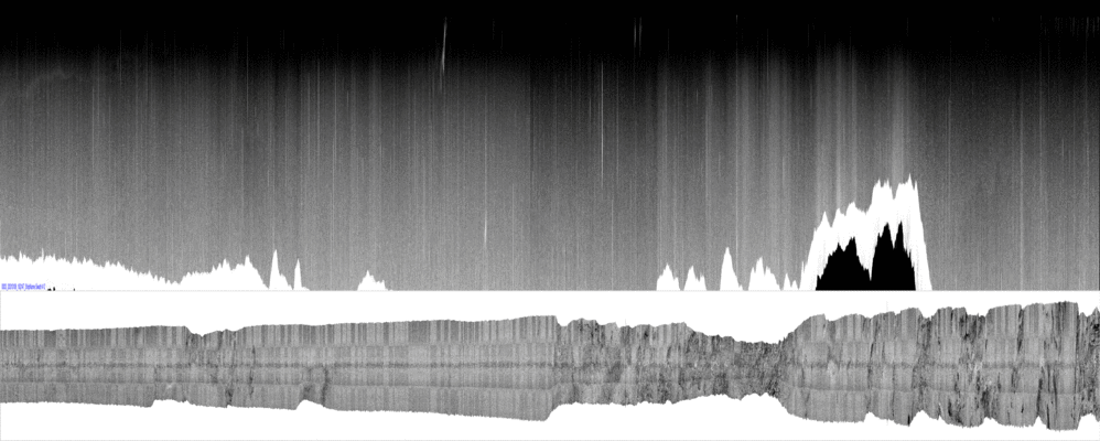 vertical
                  section