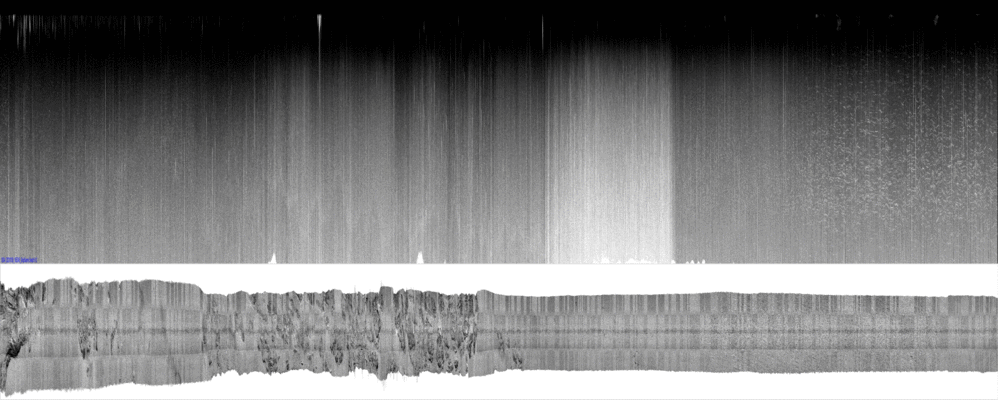 vertical
                  section