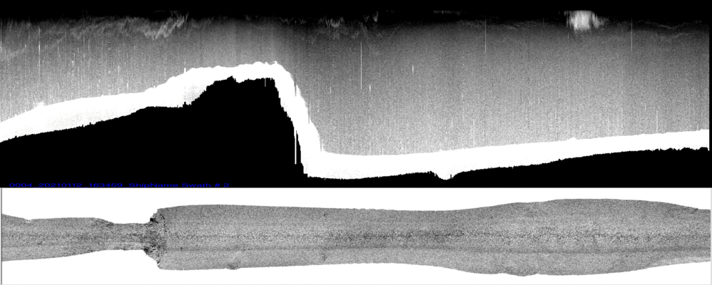 vertical
                  section