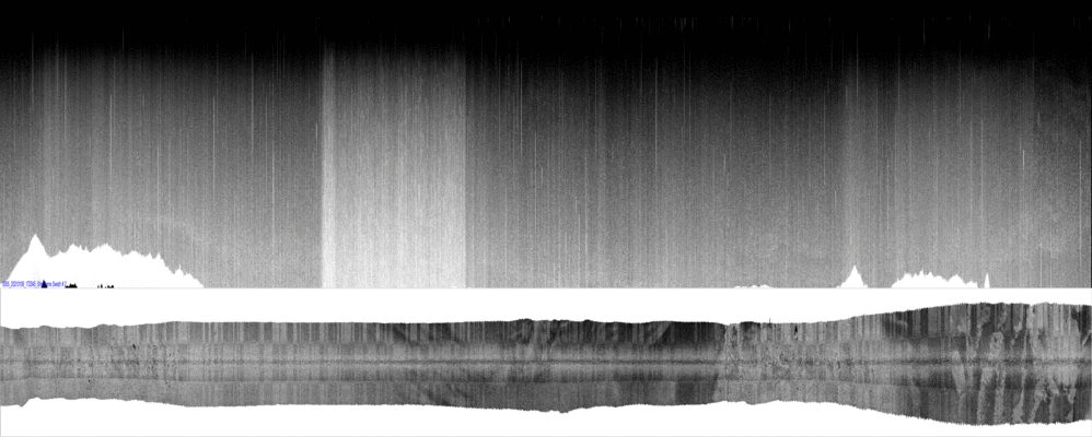 vertical
                  section