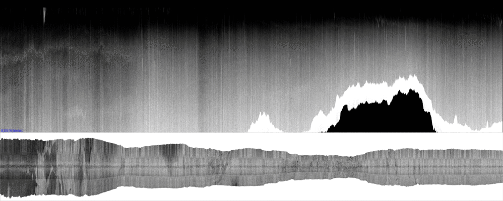 vertical
                  section