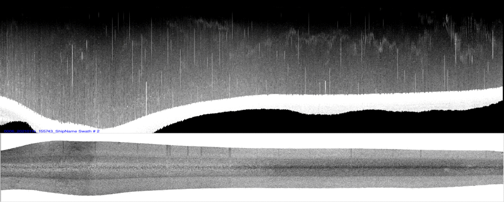 vertical
                  section