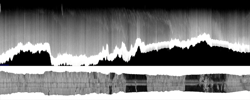 vertical
                  section