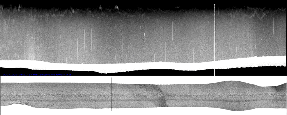 vertical
                  section