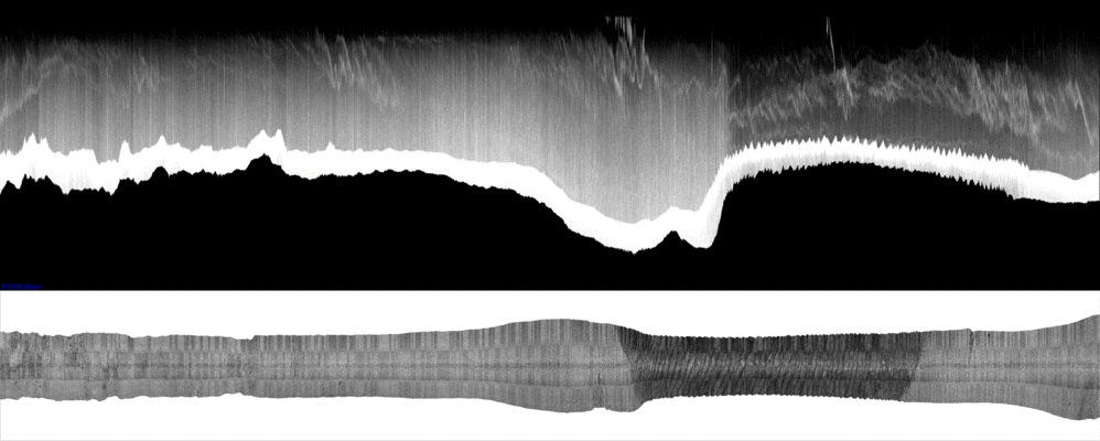 vertical
                  section