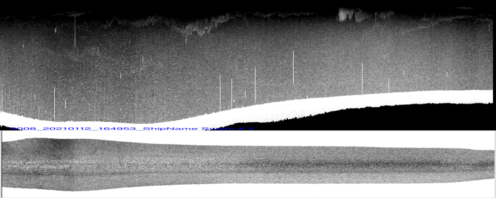 vertical
                  section