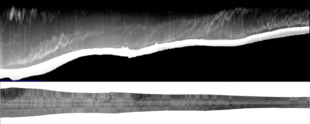 vertical
                  section