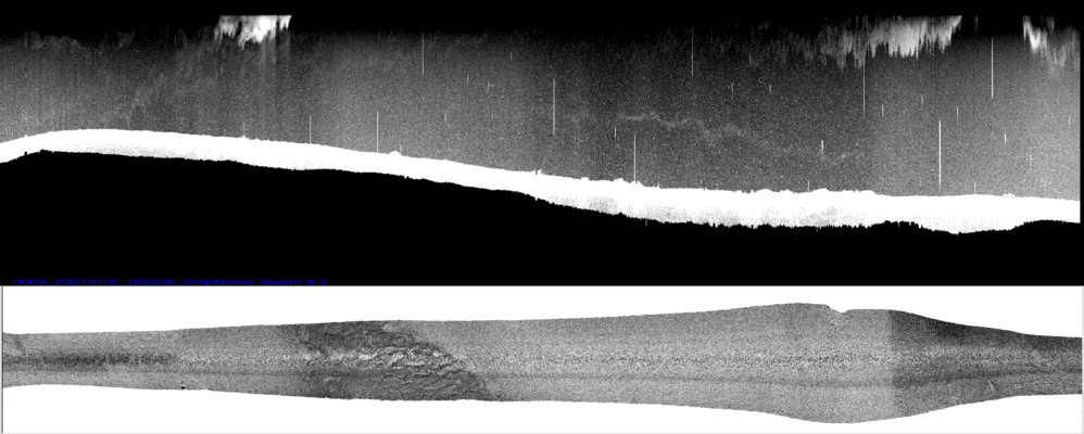 vertical
                  section