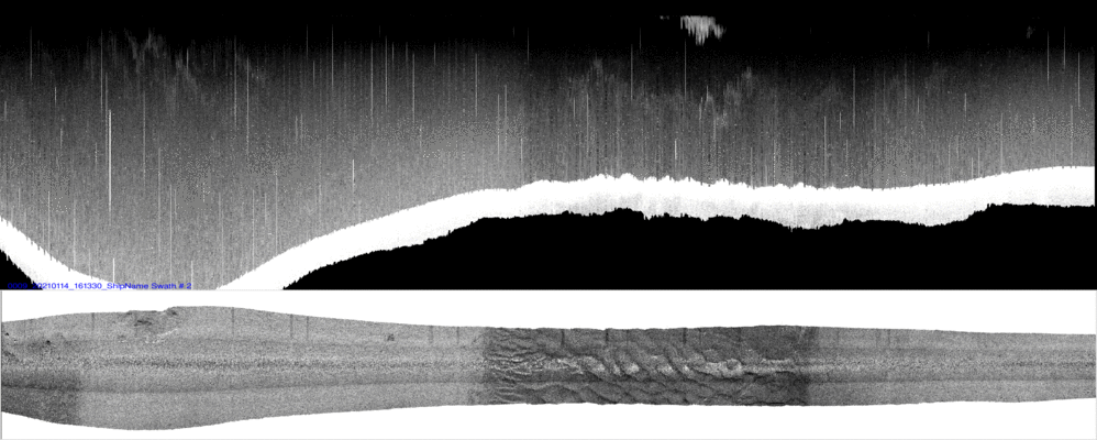vertical
                  section