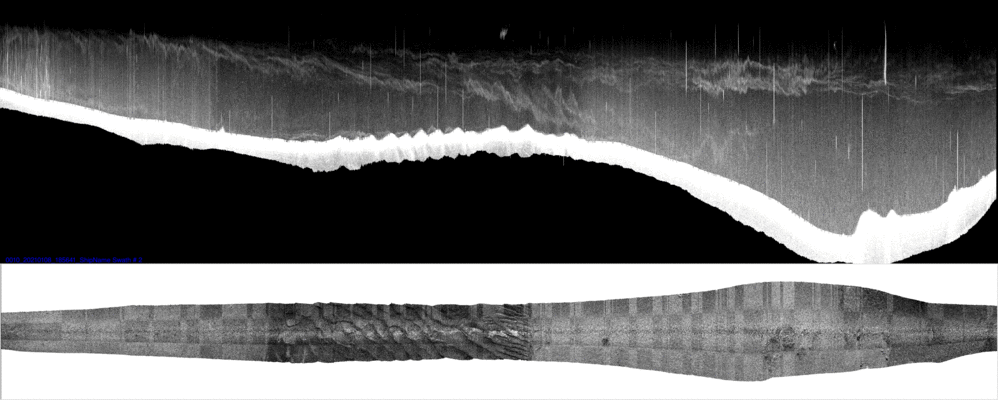 vertical
                  section