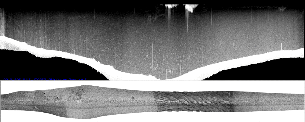 vertical
                  section