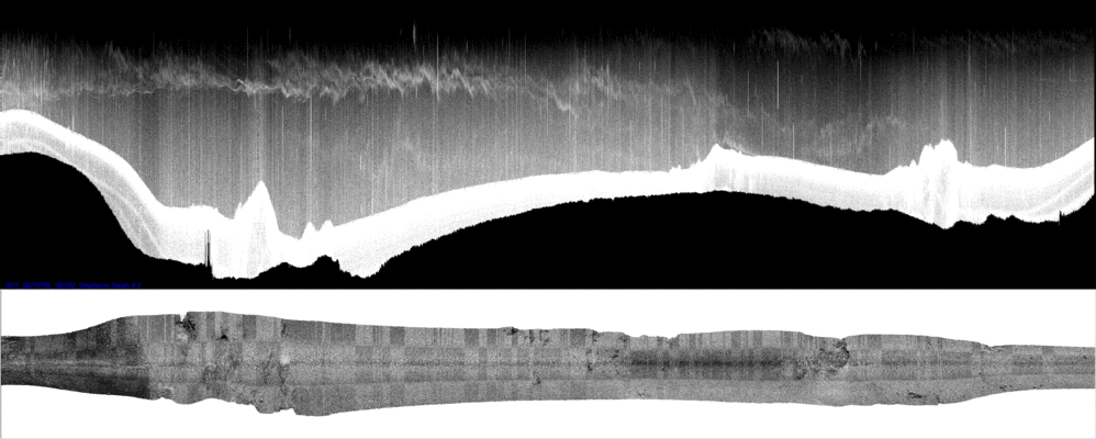 vertical
                  section