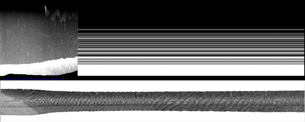 vertical
                  section
