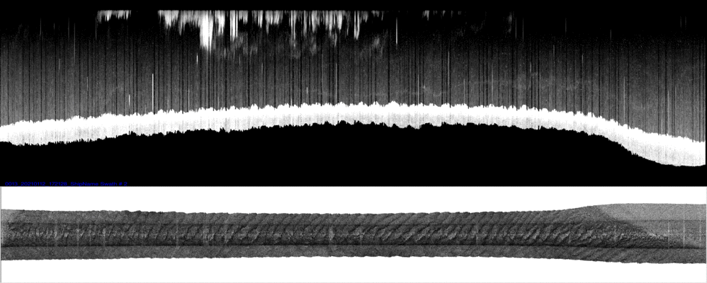 vertical
                  section